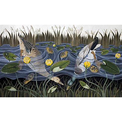 Ducks and Yellow Waterlilies