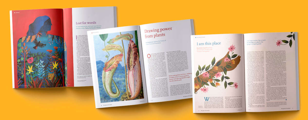 Images from Resurgence and Ecologist Magazine issue 333